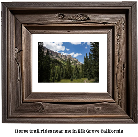 horse trail rides near me in Elk Grove, California